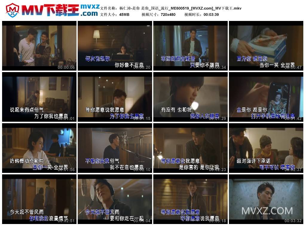 杨仁沛-是你 是你_国语_流行_ME600519